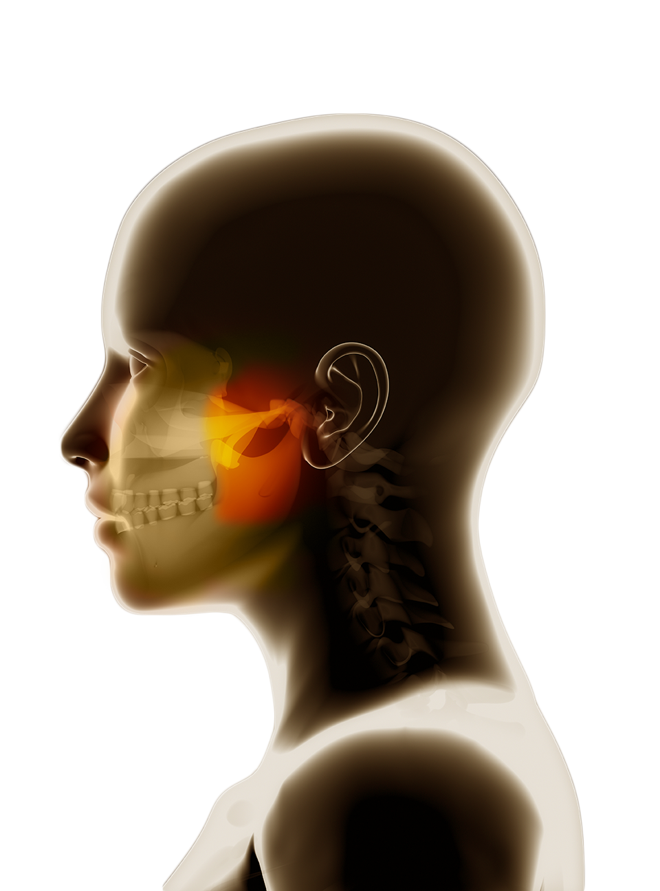 maxilofacial ADF